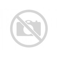 S1700-52FR-2T2P-AC